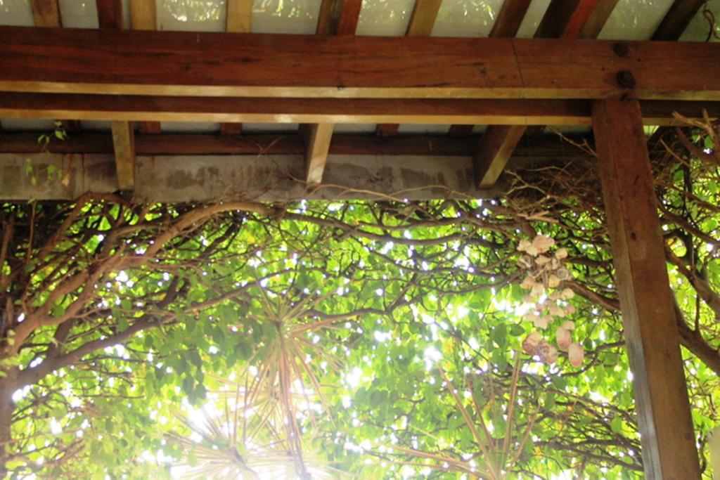 Hotel Boutique Valverde Cumbres De La Escalon Mexicanos المظهر الخارجي الصورة